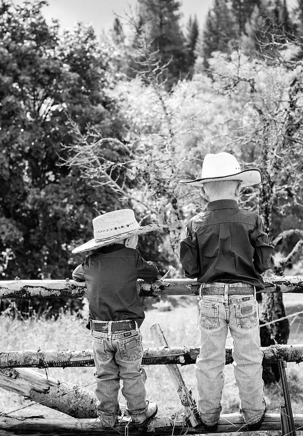 Two young boys in cowboy hats leaning on a weathered rail fence, looking out over the trees